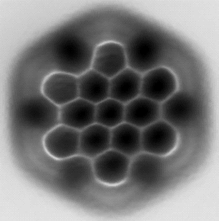Atomic force microscopy image of a polycyclic aromatic hydrocarbon